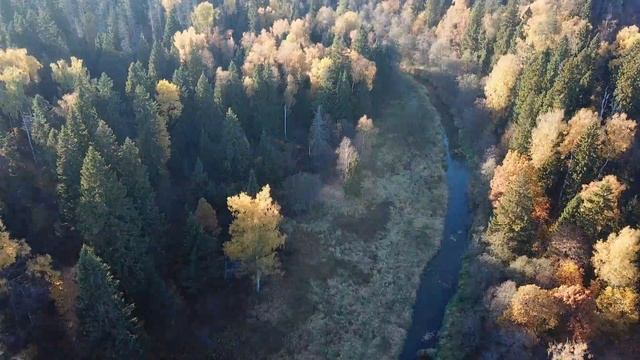 Осень с высоты птичьего полета. Autumn from a bird's-eye view. DJI Mavic Pro 4K video. смотреть онлайн