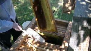 Откачка меда в августе... Операция мед: "Разнотравье 2020)"