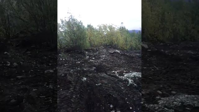 Уборка мусора бывшие трасники Мончегорск смотреть онлайн