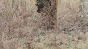 Salomon XA Forces Jungle Boot