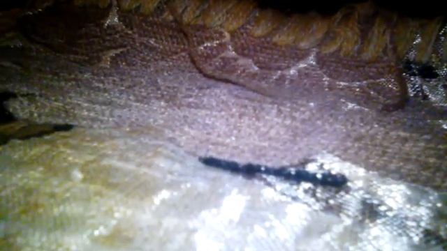 Зоздал ютуб канал смотреть онлайн