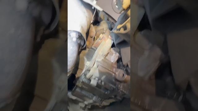 1 октября 2022 г. смотреть онлайн