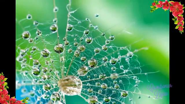 Солнечное утро в лесу - музыка Черкасов смотреть онлайн