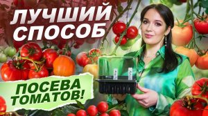 376. КАК ПРАВИЛЬНО СЕЯТЬ ТОМАТЫ НА РАССАДУ_ ВСЕ СЕКРЕТЫ ОТ МИСС ФРЕНИ (MISS FRENI) ОТ СЕМЕНИ ДО УРОЖ