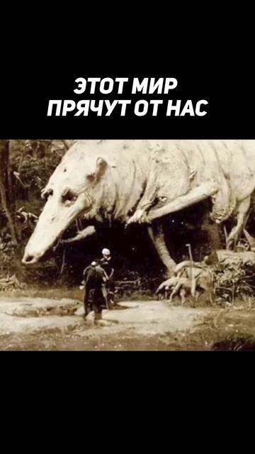 Мир, который прячут от нас #тайны #секреты смотреть онлайн