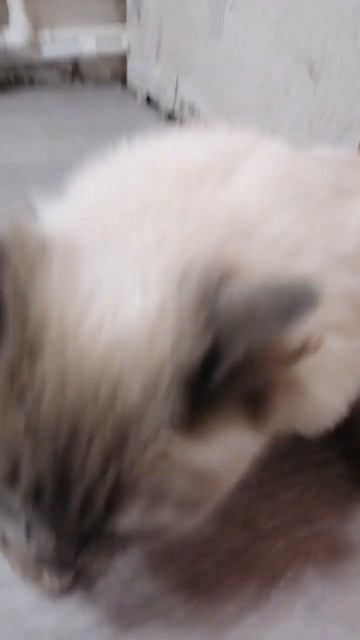 15 июня 2024 г. смотреть онлайн