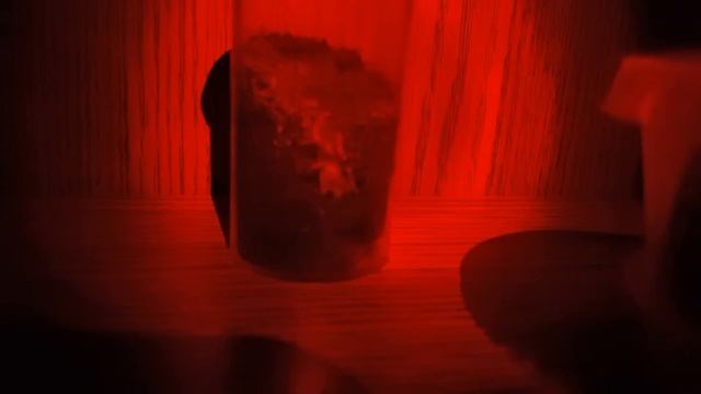 Nhandu chromatus Working on it's Burrow смотреть онлайн