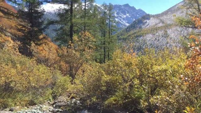 IMG 2928 смотреть онлайн