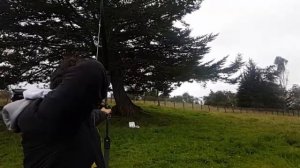 Recurve bow intech 2 logitech