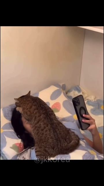 A collection of cute animals funny scenes смотреть онлайн