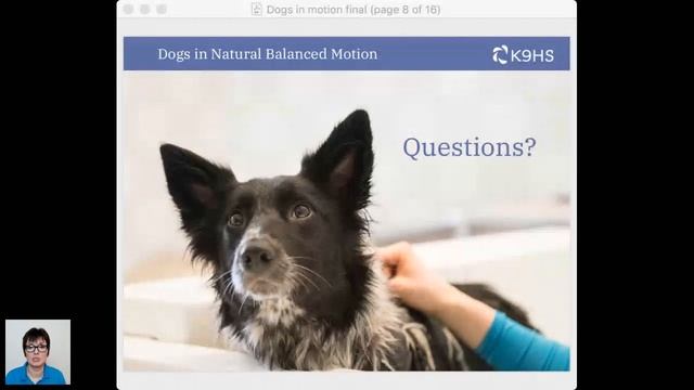 K9 Natural Balanced Stance, Postures and Motion To Optimise Movement. смотреть онлайн