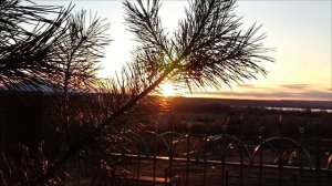 Заходящие лучи солнца в парке.Сельский закат.