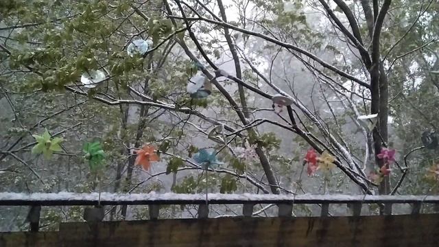 нет, серьёзно??.. смотреть онлайн