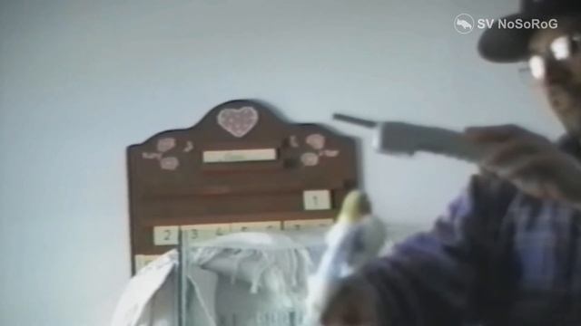 PARROT смотреть онлайн