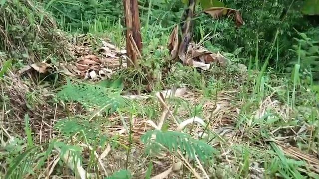 kumin April thla a khanghu kan lin kha chiang deuh zawk in ...