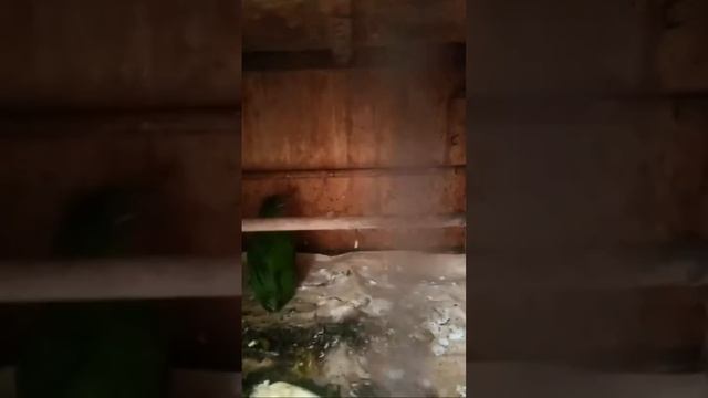 FULL SETIAP HARI BONGKAR! LANGSUNG MERAPAT HARGA DI JAMIN MURAH KOMPLIT смотреть онлайн