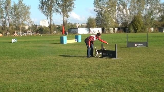 УТК Петергоф. Полуфишки 2014 (щенки) смотреть онлайн