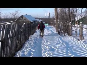 Обучение Найды - Территория