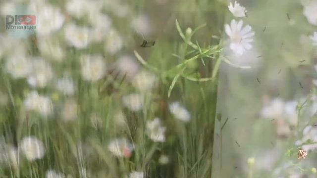 #Мотивация #Видео с мудрыми цитатами.