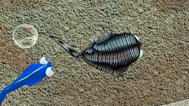 bubble fish смотреть онлайн