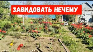 #5🌷18 апреля.Завидовать нечему/Ничего не успеваю/Как я выращиваю рассаду огурцов/Рыба на ужин