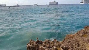 Джорджтаун.Каймановы Острова..Ноябрь 2022г.В Третий Раз(начиная с 2015г) вернулись в Бар,,ИГУАНА,,