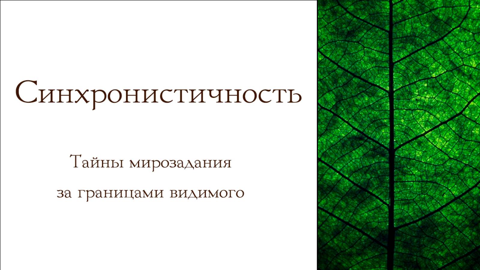 Синхронистичность. Тайны мироздания за границами видимого