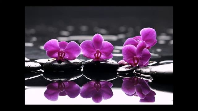 Андрей Горбатенко " Она мне нравится " смотреть онлайн