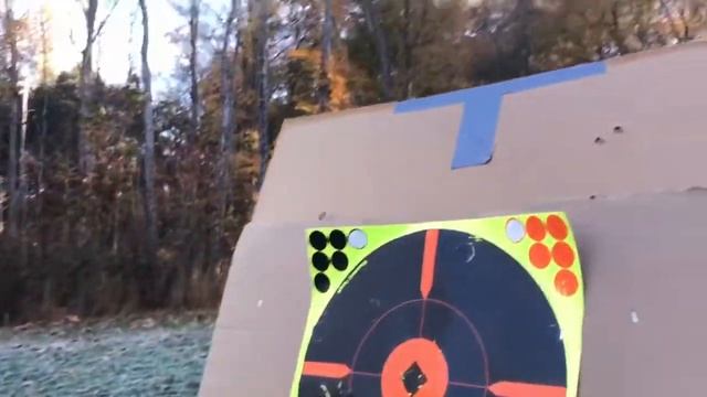 Ruger 10/22 Accuracy Bushnell AR 1-6 x24 W/M4 Pro Stock 50yrd. Zero & Ovr.Hold @ 25,75 yrds.