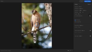 12-01 - Как экспортировать фотографии из Lightroom CC