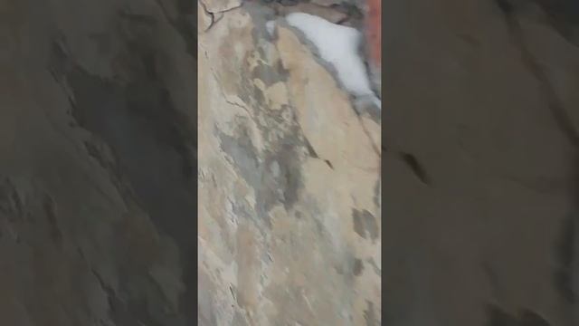 21 января 2022 г. смотреть онлайн