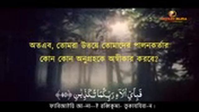 Quran risit of abu bakkar al madani смотреть онлайн