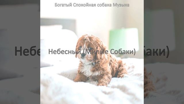 Видения (Расслабляющие собаки) смотреть онлайн
