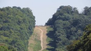 Nikon Coolpix P600 ZOOM TEST x60