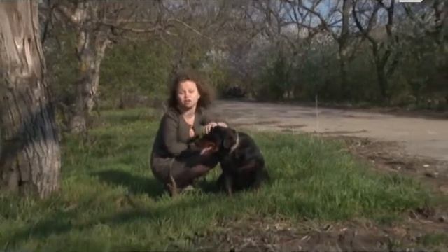 Программа "Утренний эфир" 10/04/14 смотреть онлайн