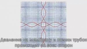 Киматика Знания Жрецов