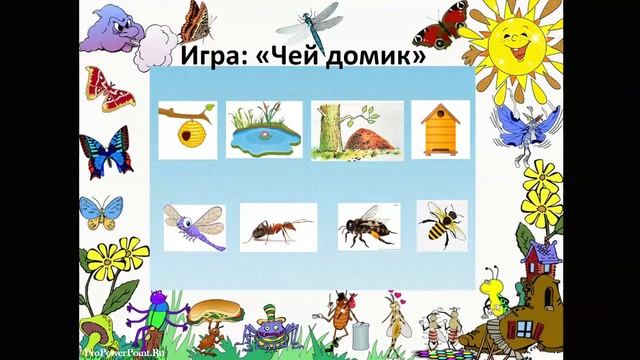 Насекомые. Ознакомление с окружающим смотреть онлайн