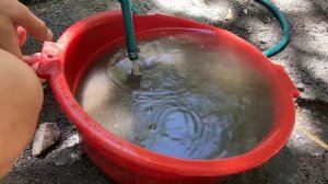 Промываем песок для донного фильтра в колодце #argentina #огород #huerta #колодец #pozo