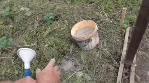 Помидоры на целине. Посадка помидор.