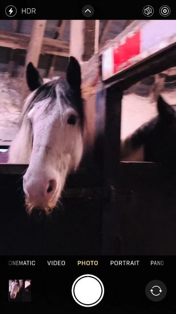 My boy is so cuteee xxx❤️🩹❤️ смотреть онлайн