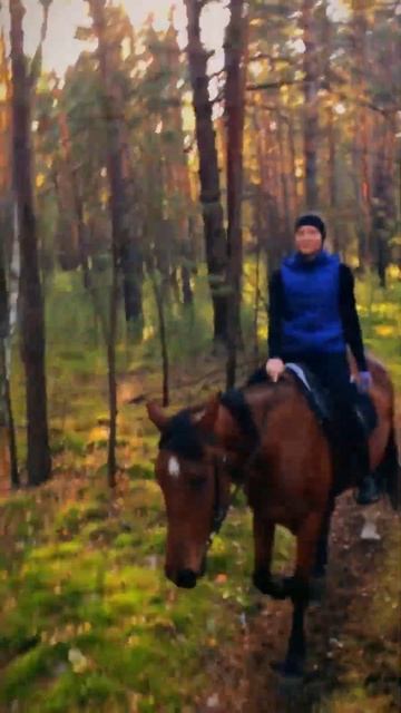 Как мы в лес выезжали #лошади #конныепрогулки