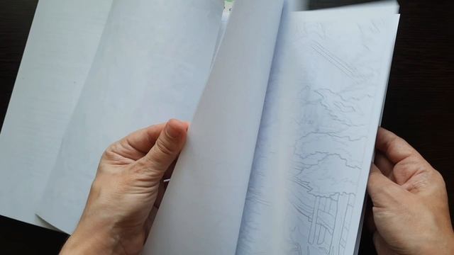 Моя коллекция раскрасок: Creative Haven