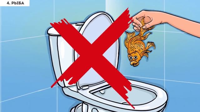 12 Предметов, Которые Нельзя Смывать в Унитаз до ки смотреть онлайн