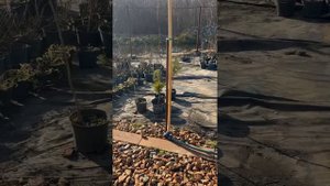 Участок рядом с миллкриг