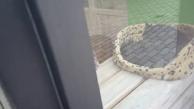 город Львов Украина Ukraine city of Lviv смотреть онлайн