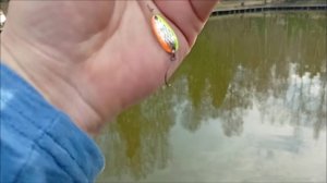 Обеденные поимки форели. Спорт-зона. Клёвое место Лосиный остров.