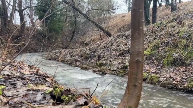 Глубокая медитация для восстановления и релаксации: Магия горного ручья | Засыпайте с природой смотреть онлайн