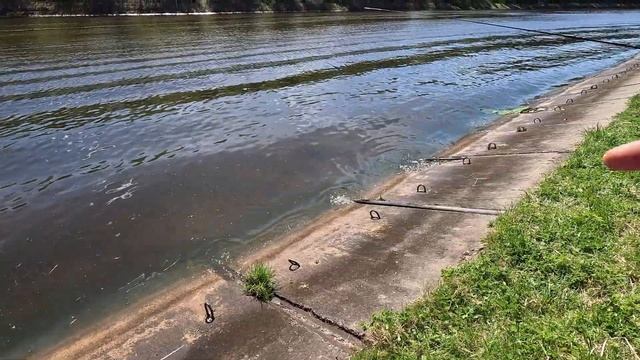 Столько ИХ я еще не ловил.. Рыбалка на Канале имени Москвы. Первый выезд на разведку