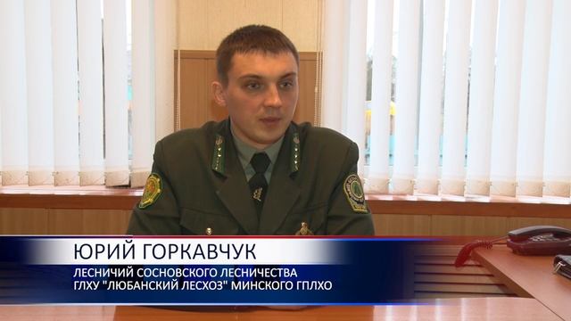 С приходом зимы активизируется и работа лесничеств