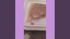 сравниваем корма